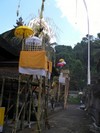 bali51.jpg